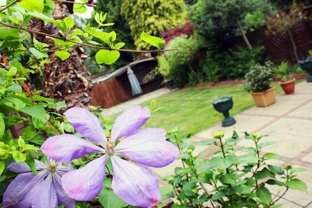 רומפורד Gidea Park Hotel מראה חיצוני תמונה
